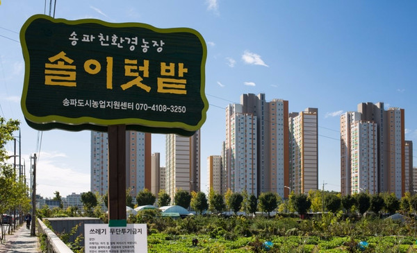▲ 솔이텃밭 전경.