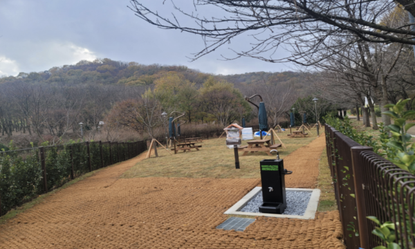 원적산공원 반려동물 놀이터