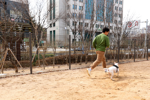 ▲ 서울시 최장 규모인 동작반려견공원에서 반려견이 자유롭게 뛰어놀고 있는 모습.