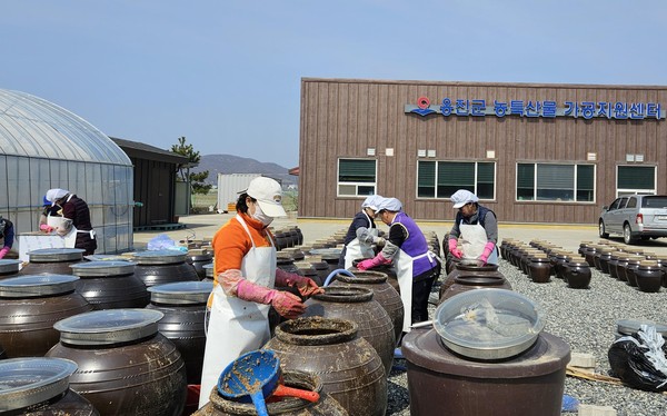 ▲ 옹진군 전통장 가르기 행사 실시 모습.