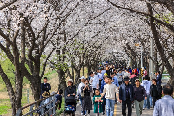 ▲ 양평군 제7회 갈산 누리봄 축제 개최 모습.