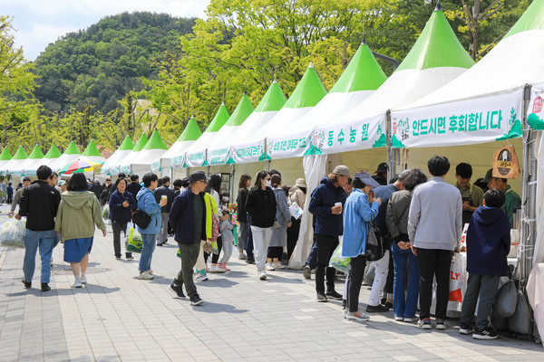 ▲ 양평 용문산 산나물 축제 개최 모습.