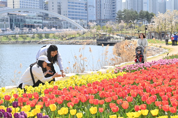 공원과 길가에 계절꽃 9만7,000본 식재