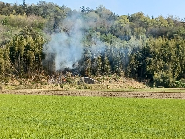 ▲ 득량면 대밭화재 관련사진.