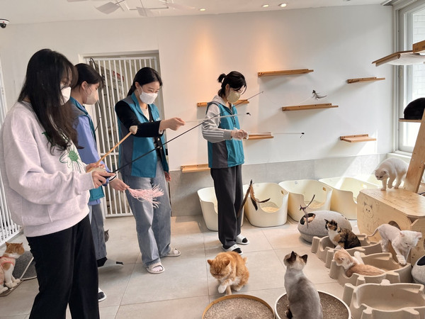 ▲ 한국마사회, 고양이 돌봄봉사 실시 모습.