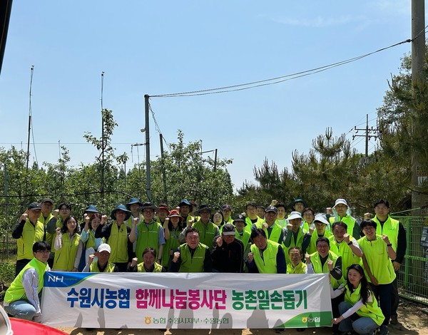 ▲ 화성시 마도면 과수농가 농촌 일손돕기 참여한 임직원들.