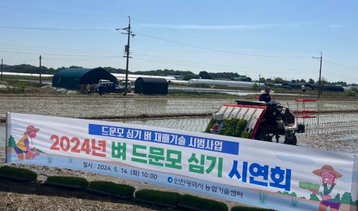 ▲ 인천시 벼 드문모 심기 시연회 진행 모습.