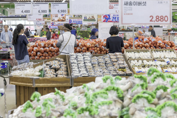 ▲ 서울의 한 대형마트에서 시민들이 장을 보고 있다. /뉴시스