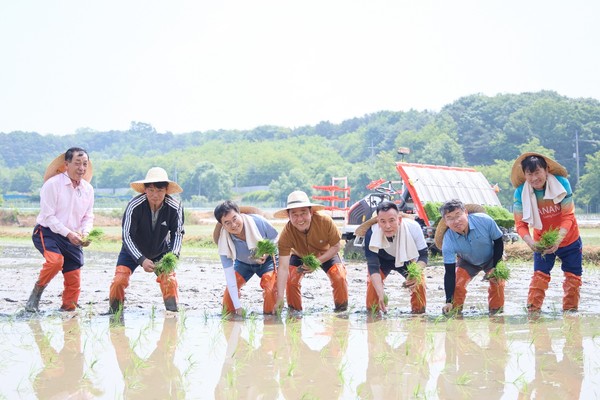 ▲ 여주 모내기행사 진행 모습.