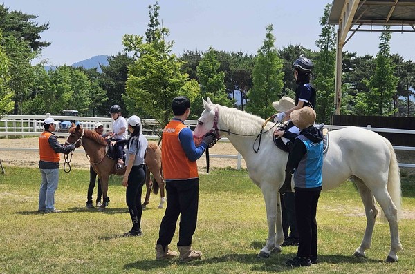 ▲ 렛츠런파크 부산경남 재활승마 모습.