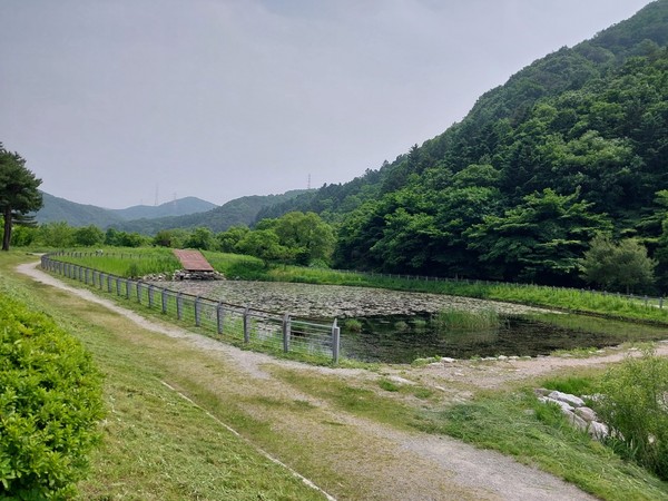 용인특례시가 길업습지에 반딧불이 서식처 복원을 위한 식생환경 조사를 벌인다