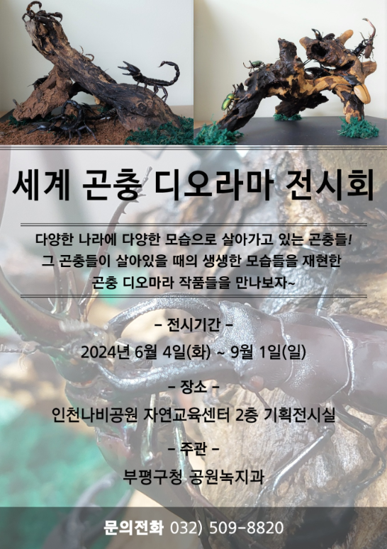 ▲ 부평구 '세계 곤충 디오라마 전시회' 포스터.