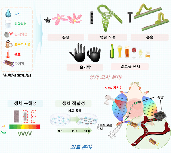 ▲ 조선대 연구팀 등이 개발한 의료로봇 관련 설명도. (그림=조선대 제공).