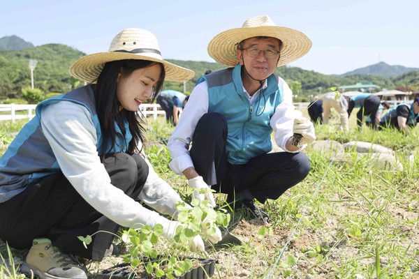 ▲ 한국마사회 정기환 회장과 임직원 케나프 식재행사.