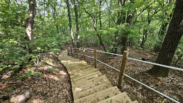 용인특례시는 수지구 고기동 노인회관에서 바라산 정상에 이르는 3km 구간 광교산 둘레길을 정비했다.