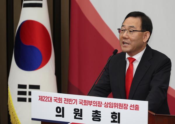 ▲ 국회부의장 후보로 선출된 주호영 의원. /뉴시스