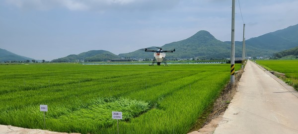 ▲ 병해충 방제 실시 모습.