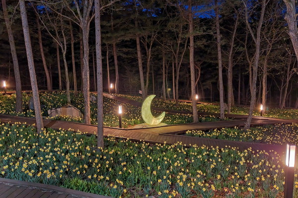 ▲ 토함산 백배 즐기기 숲산책로 야경.