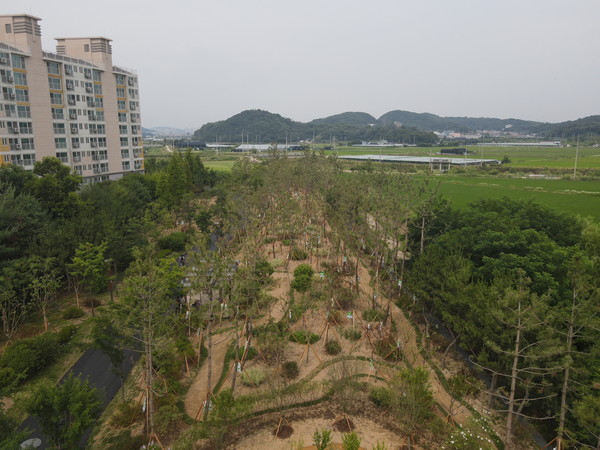 ▲ 인천 남동구 영동고속도로변 기후 대응 도시 숲 조성 모습.
