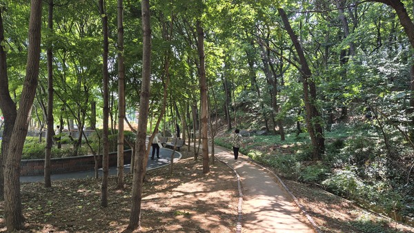 ▲ 오봉근린공원 맨발 산책로.