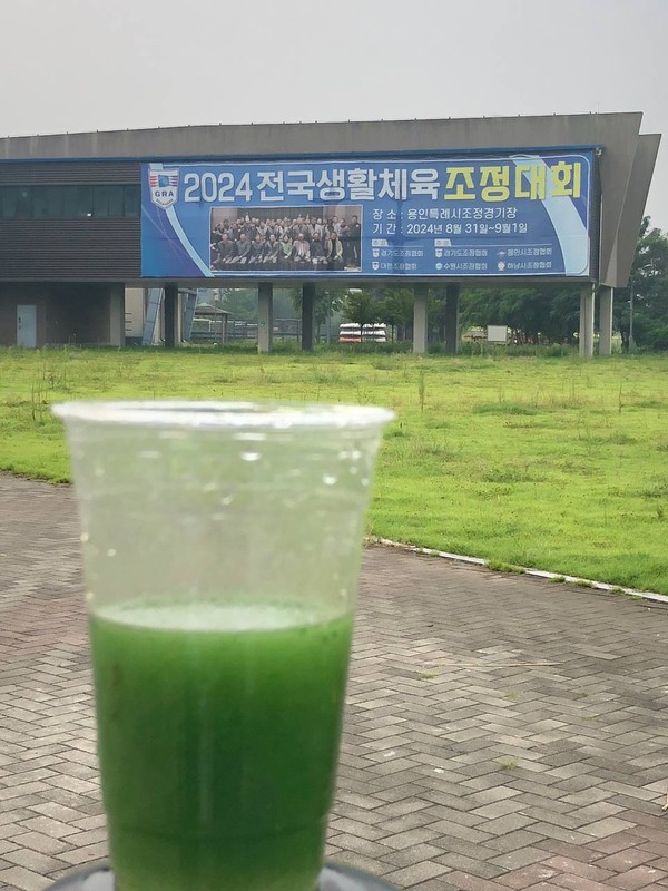 ▲ 기흥호수 조정경기장 선착장 녹조 현장.