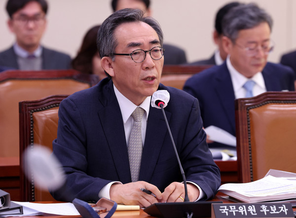 ▲ 조태열 외교부 장관. /뉴시스