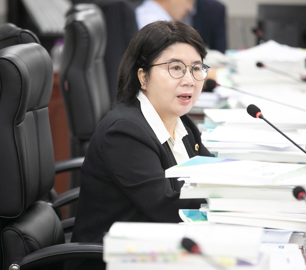 ▲ 경기도의회 이서영 의원.