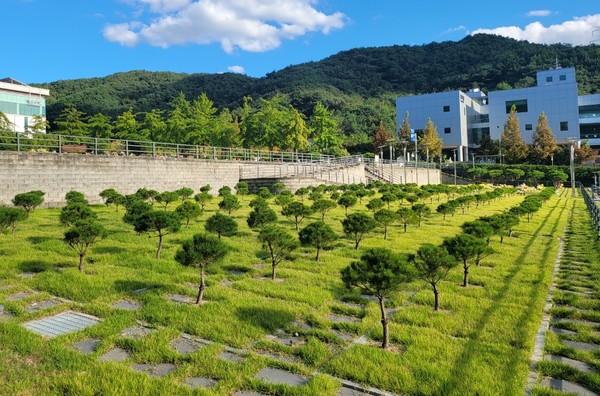 ▲ 용인 평온의숲 자연장지에 새롭게 조성된 수목장 4위형.