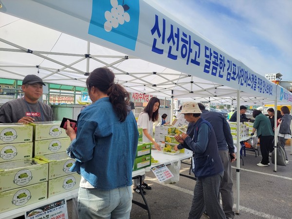 ▲ 김포 샤인머스캣 직거래장터 개최 모습.