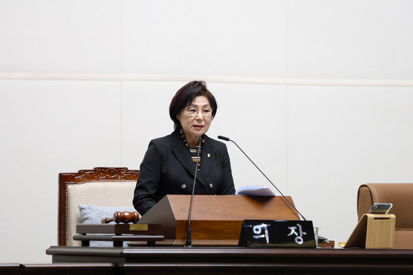 ▲ 제281회 임시회 본회의 모습.