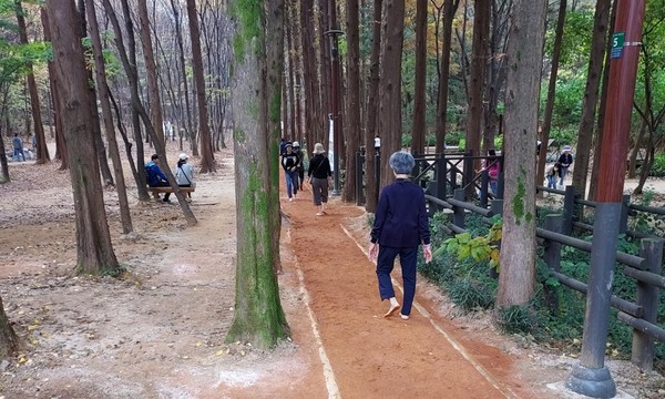 ▲ 명일근린공원 내 황톳길.