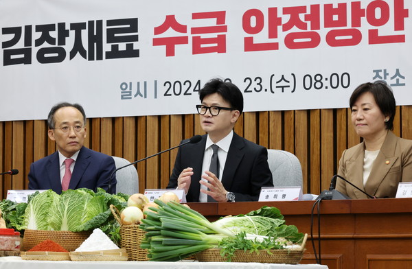 ▲ 민당정 발언하는 한동훈 대표. /뉴시스
