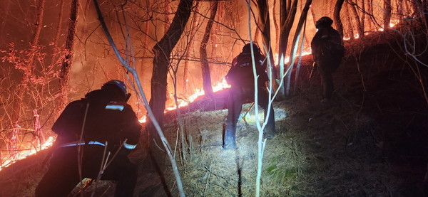 ▲ 13일 오전 부산 사하구에서 산불이 발생해 진화작업을 벌여 45분에 진화됐다. (사진=산림청 제공)