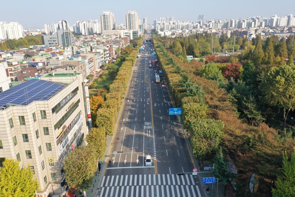 ▲ 부평구 길주로 양버즘나무길.