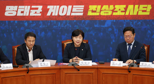 ▲ 민주당 명태균 게이트 진상조사단 첫 회의. /뉴시스