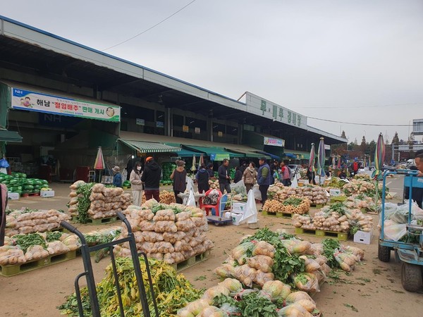 ▲ 삼산농산물도매시장(무·배추 경매장).