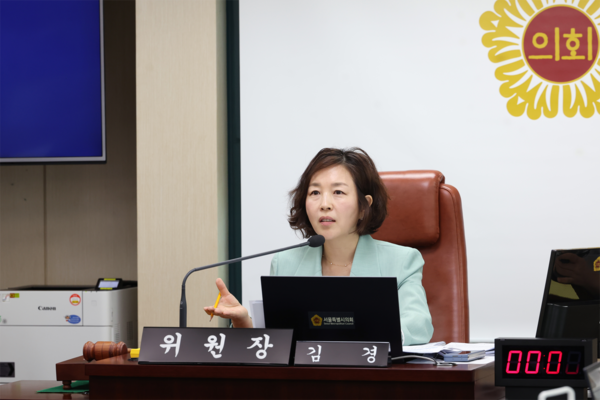 ▲ 김경 서울시의회 문화체육관광위원장.