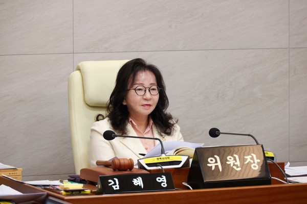 ▲ 김혜영 예산결산특별위원장 회의 모습.