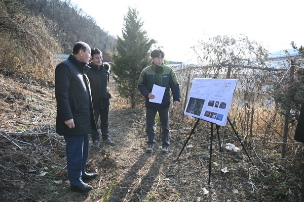 ▲ 박형덕 동두천시장이 소나무재선충병 방제 대상지 현장점검을 실시하고 있다.