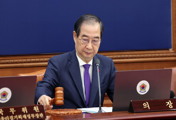▲ 의사봉 두드리는 한덕수 대통령 권한대행. /뉴시스
