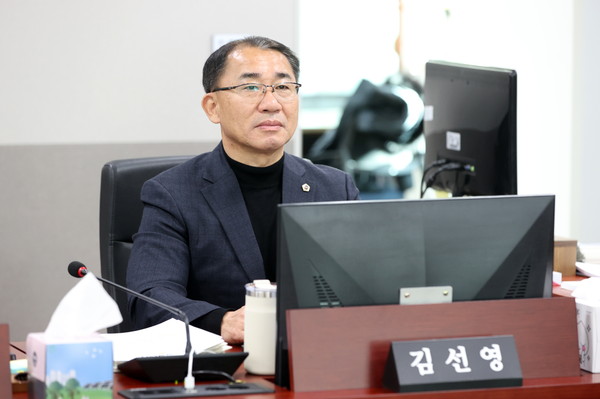 ▲ 경기도의회 김선영 의원.