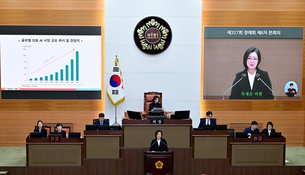 ▲ 자유발언하는 옥재은 의원.
