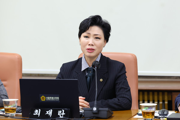 ▲ 발언하는 최재란 의원.