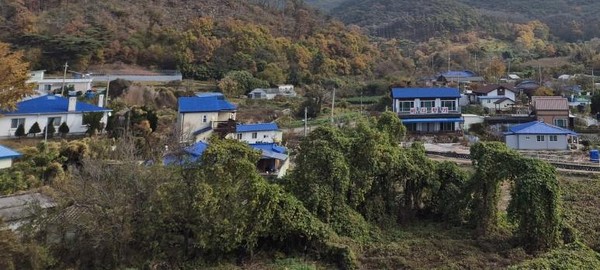 ▲ 옹진군 지붕색채 경관개선사업 완료 모습.