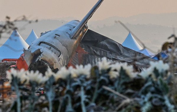 ▲ 제주항공 여객기 참사 닷새 째인 2일 오전 전남 무안군 무안국제공항 활주로 사고 현장에 파손된 여객기 동체가 놓여있다. 사고 현장 주변으로는 조문객들이 두고 간 국화가 놓여 서리를 맞고 있다. /뉴시스
