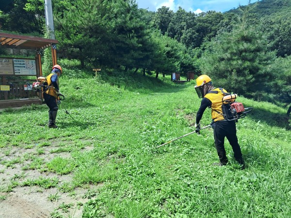 ▲ 강화군 산림사업 추진 관련 사진.