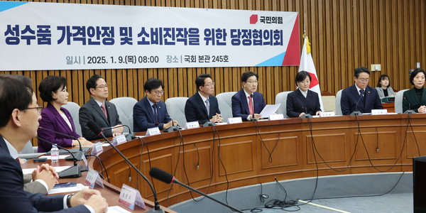 ▲ 설 성수품 가격안정 및 소비진작을 위한 당정협의회. /뉴시스