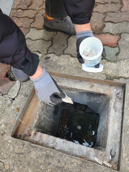 ▲ 동절기 유충구제 방제 모습.