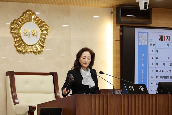 ▲ 제254회 임시회에서 의사봉 타봉하는 김명숙 부의장.