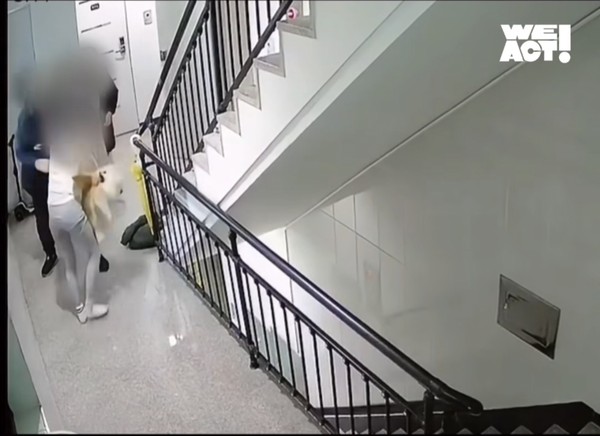 ▲ 사건 당일 모습. (사진은 동물구조단체 사단법인 위액트 제공) /뉴시스